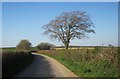 Lane near Bunson Gate