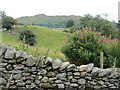 NY3705 : Wansfell from Nook Lane by Peter S