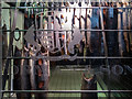 Smoked Salmon on Display, Formans, Stratford, London