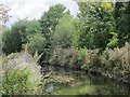 The New River (old course) at the southwestern boundary of Enfield Park (2)