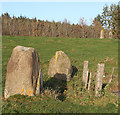 Druidsfield Standing Stones (2)