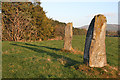 Druidsfield Standing Stones (4)