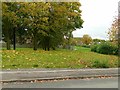 Northern end of the Harborne Walkway