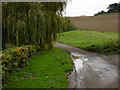 Kit Hill near Dane Court Farm