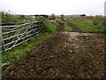 Horse pastures at Seasalter