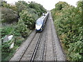 A Javelin at Whitstable