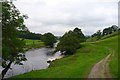 The Wharfe upstream of Barden Bridge