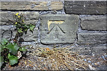 SE1535 : Benchmark on Canal Road wall by Roger Templeman