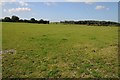 Farmland near Charfield