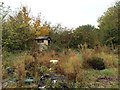 Silverdale: abandoned allotment