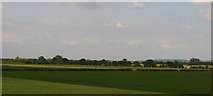 SK8747 : Farmland at Doddington Littlegate by Christopher Hilton