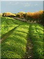 River Trent Embankment