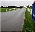 Into Royal Windsor Racecourse