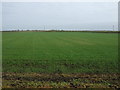 TL5085 : Flat farmland, Westmoor Common by JThomas