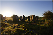 NS5966 : Sighthill Stone Circle by david cameron photographer