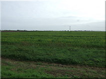 TL5190 : Crop field near Northfield Farm by JThomas