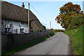 Thatched cottage beside lane at Ablington