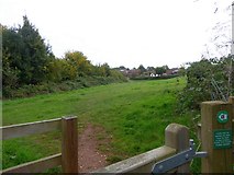 SX9591 : Path across field north of Ludwell Lane, Exeter by David Smith