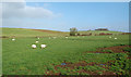 Ayrshire Farmland