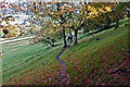 Along the Staffordshire Way