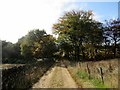 Track to Sheep Cote Green Farm