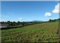 Potato field on the west side of the B27