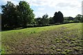 Field near Damery