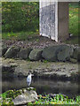 SD5086 : A heron under the A590 bridge by Karl and Ali