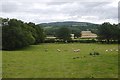 Brown Clee seen from Holdgate