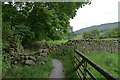 The Dales Way approaching Haugh Wood