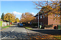 Ashbury Close in autumn