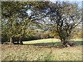 Footpath from Boarfold