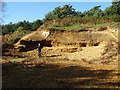 Red Crag Formation