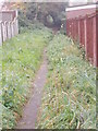 Gipsy Lane - Walton Station Lane