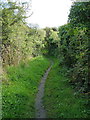 Bridleway between Pengersick and Trevurvas