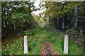 Path beside Portlane Brook