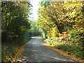 Shire Lane, Orpington