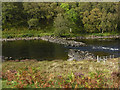 Fishing weir on the River Ewe