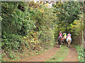 Start of bridleway to New Farnley