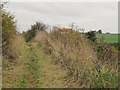 Footpath to Gelderd Road