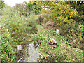 Nature reserve near Churwell