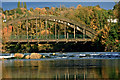 Bridges of the Avon Cut (14/15)