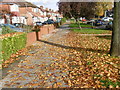 Autumn leaves along Beverley Drive