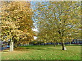 A green at Queensbury