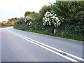 Ashton milestone beside the A394