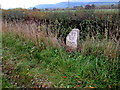 Old milestone south of Welshpool