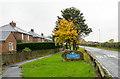 Houses in Cassop