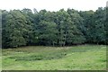 Boggy field and woodland south-east of Collabear Corner