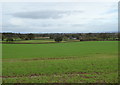 Farmland near Plainsfield