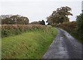 Sheepwash Bridge to Hatherleigh